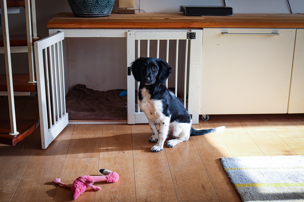 How to build a wooden dog crate. - Nicole Michael DIY